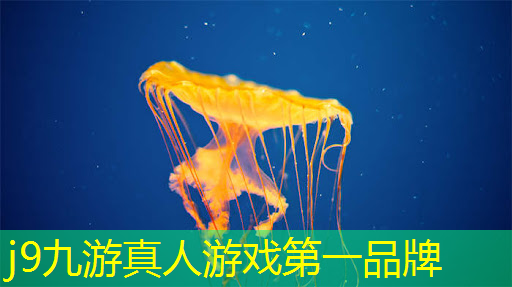 j9九游真人游戏第一平台：对战3d电脑游戏有哪些