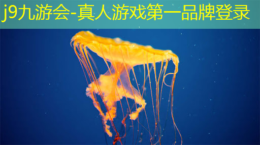 j9九游会-真人游戏第一品牌登录：游戏动漫原画理解与技法精解书