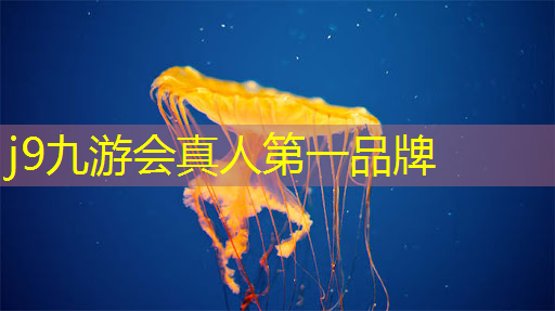 j9九游真人游戏第一品牌：捡钱小游戏3D版